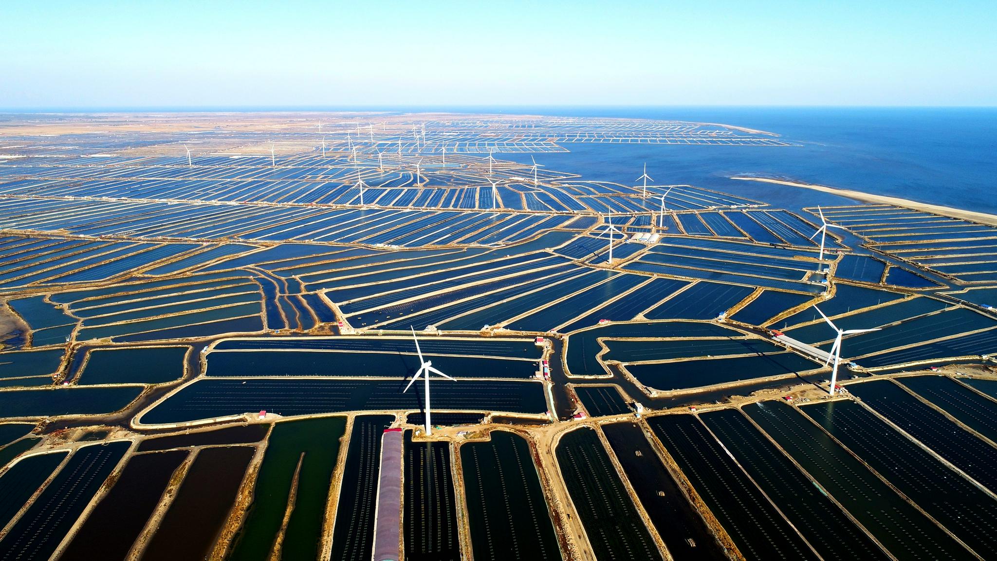 1699926048868001.jpg 44.jpg